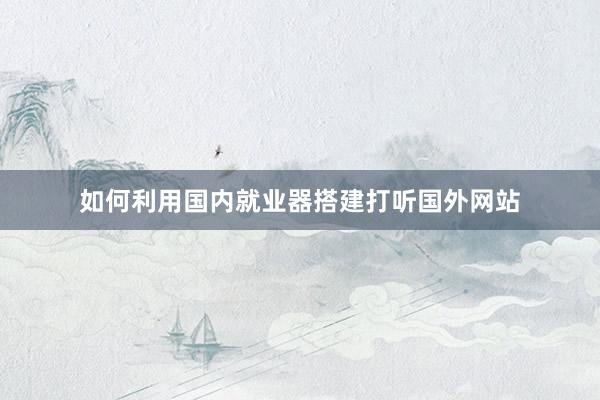 如何利用国内就业器搭建打听国外网站