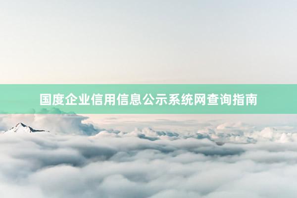 国度企业信用信息公示系统网查询指南