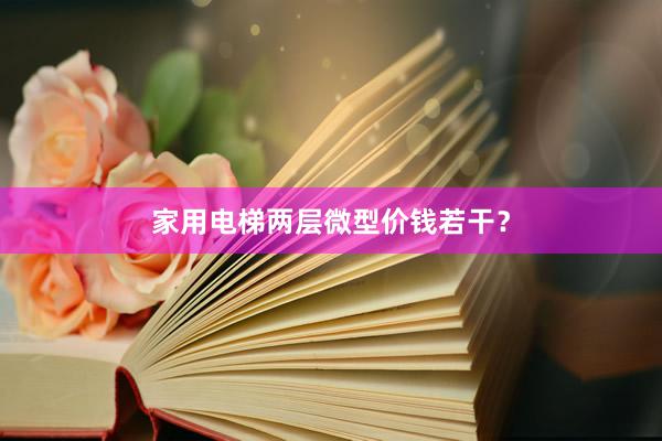 家用电梯两层微型价钱若干？