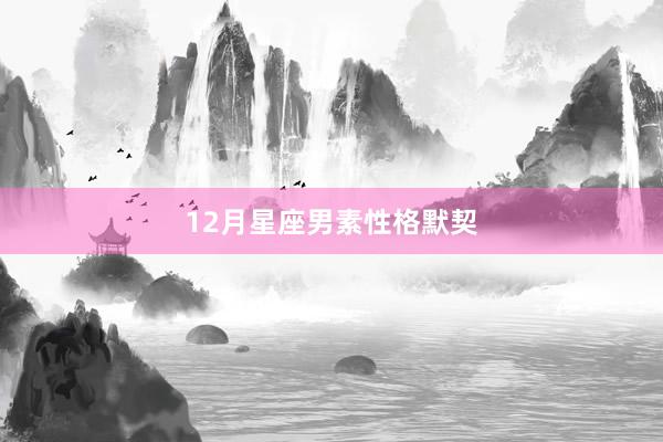 12月星座男素性格默契
