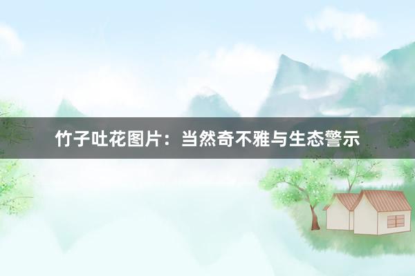 竹子吐花图片：当然奇不雅与生态警示