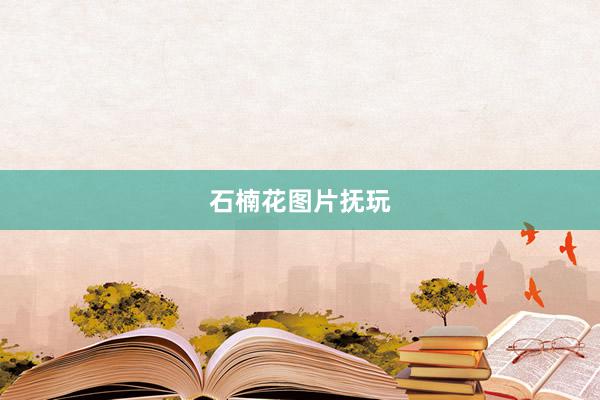 石楠花图片抚玩
