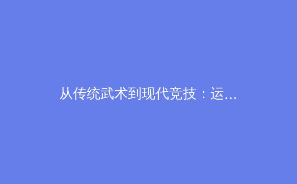 从传统武术到现代竞技：运动生理学视角下的身体柔韧性与技术表现力研究
